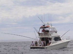 Harbour Cruises on Reef Magic