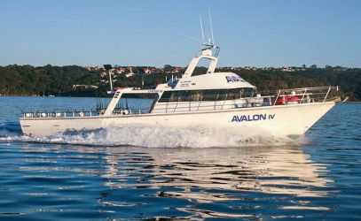 Fishing Charters on Avalon