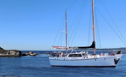 Boat Hire on Sydneysider