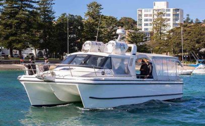 Whale Watching Cruises on Cheeky Monkey Main Profile