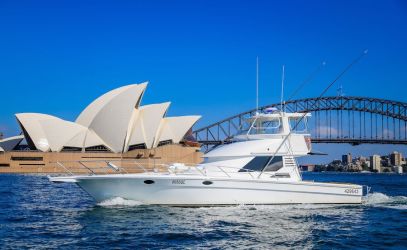 Boxing day cruises on Shoki