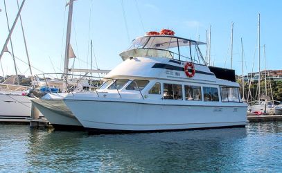Harbour Cruises on Ali B