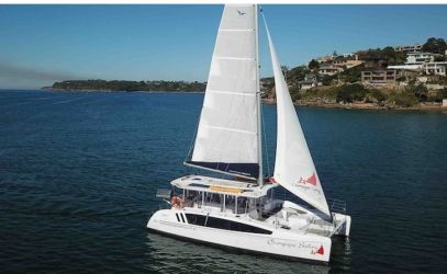 Main profile image of Whale Watching Cruises on Champagne Sailing