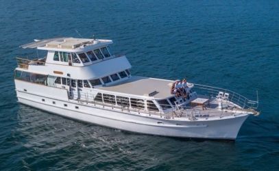 New Years Eve Cruises on MV Baroness Main profile