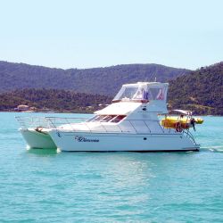 Main profile image of Whitsundays sailing on Divocean