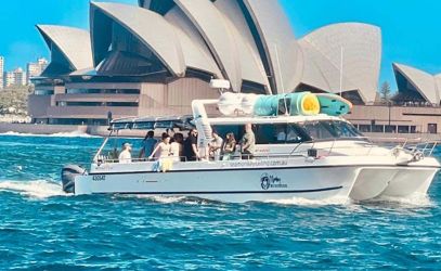 Boat Hire on Monkey Business Main profile