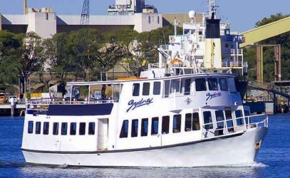 Christmas Cruises on MV Sydney
