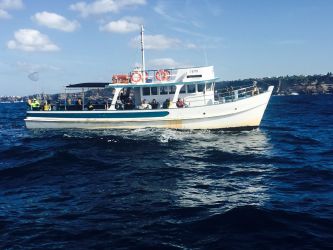 Fishing Charters on Mystery Bay
