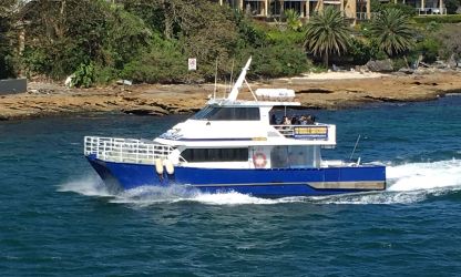 Cruise new years on True Blue