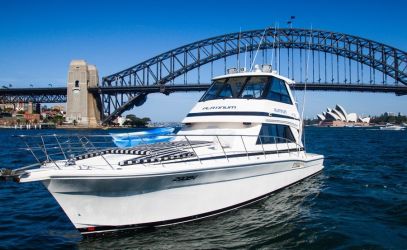 New Years eve cruise on Platinum harbour bridge background 