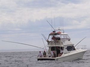 Fishing charters on Reef Magic