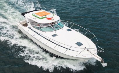 New Year's Eve Cruise on Zodiac main image