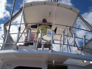 Harbour Cruises on Reef Magic