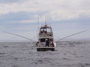 Harbour Cruises on Reef Magic