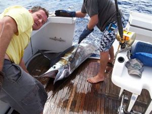 https://www.anyboat.com.au/media/catalog/product/cache/3d98a21d93a47449f8fd839055ce5f12/0/1/010920110227003.jpg