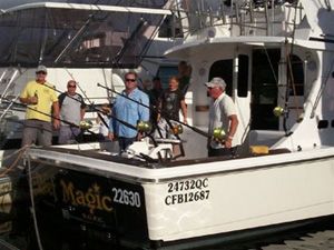 Harbour Cruises on Reef Magic