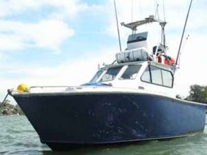 Fishing Charters on Allie Hunter