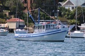 Fantastic Deep Sea Fishing Charter Fantastic Deep Sea Fishing Charter