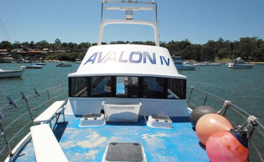 Fishing Charters on Avalon