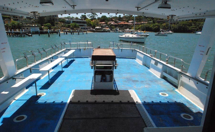 Fishing Charters on Avalon