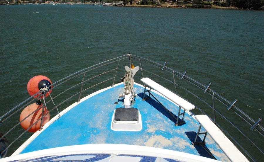 Fishing Charters on Avalon