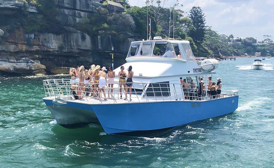 https://www.anyboat.com.au/media/catalog/product/cache/3d98a21d93a47449f8fd839055ce5f12/b/l/blue-cat-1.jpg