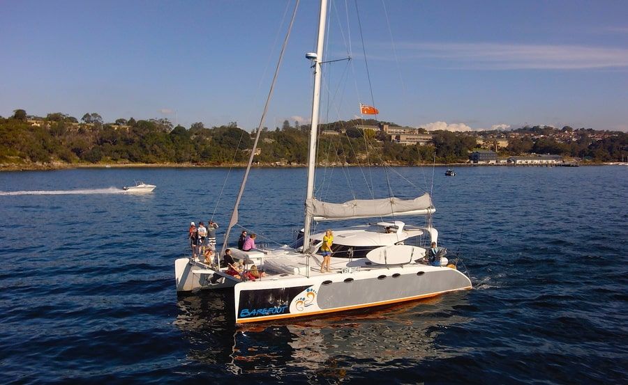 Barefoot boat hire ocean cruising