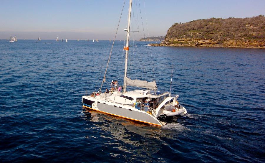 Barefoot boat hire cruising