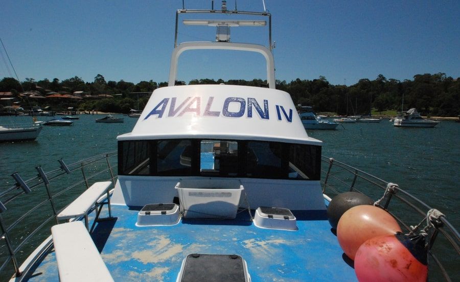 Avalon Boat Hire - From the bow