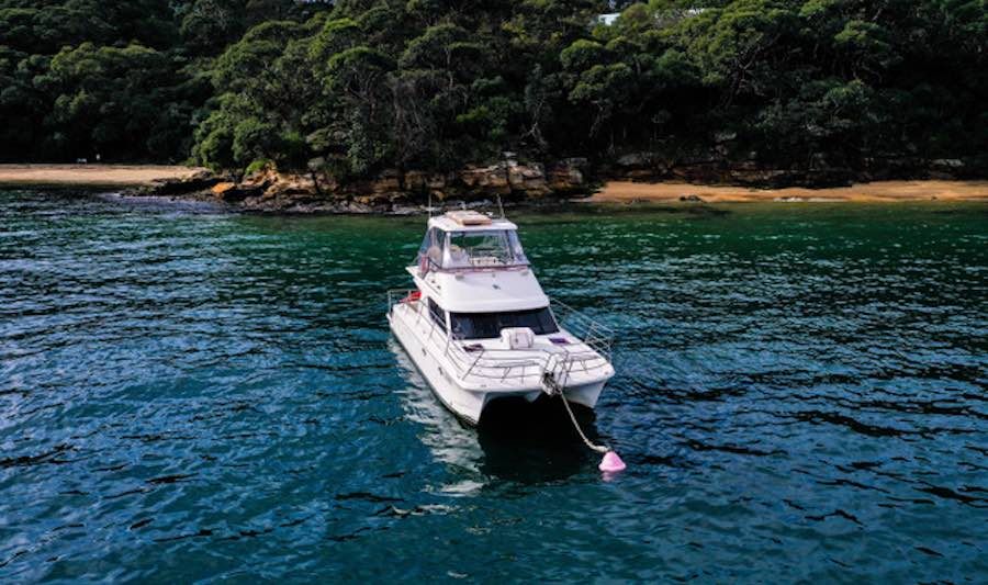 Vivid Cruises on Lifes Good bow view
