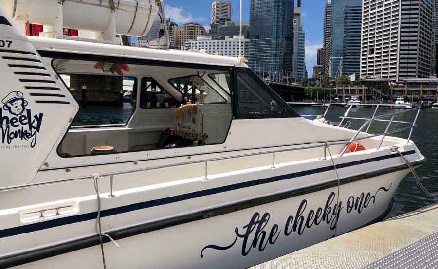 Whale Watching Cruises on Cheeky Monkey Starboard view of bow
