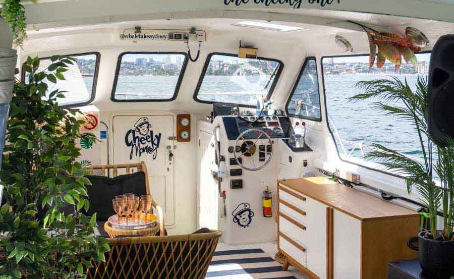 Boat Hire on Cheeky Monkey Boat Hire on Cheeky Monkey