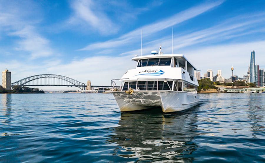 https://www.anyboat.com.au/media/catalog/product/cache/3d98a21d93a47449f8fd839055ce5f12/e/x/exterior-1_1_9.jpg