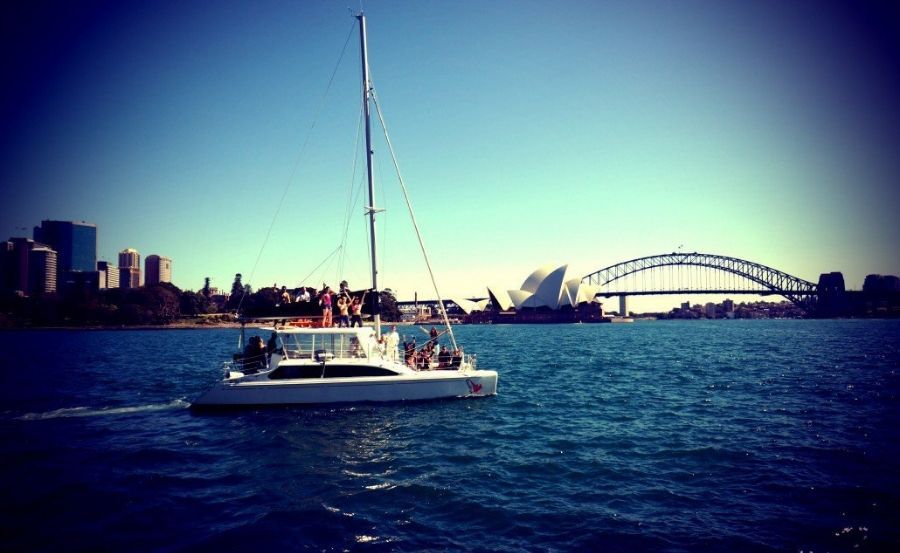 Harbour cruise on Rockfish I Sydney Harbour