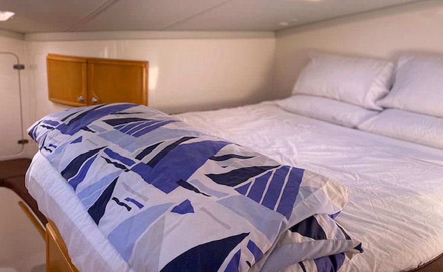 Boat Hire on Horizon Cat Boat Hire on Horizon Cat