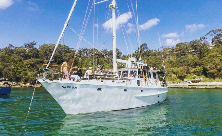 Cmv christmas cruises