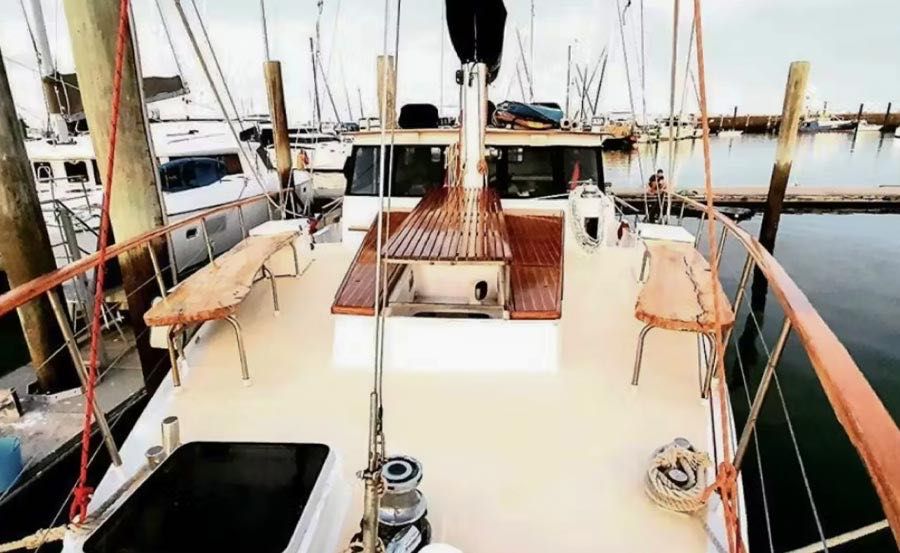 New Year's day Cruises on Major Tom