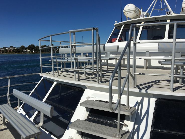 Cruise new years on MV Explorer viewing reas