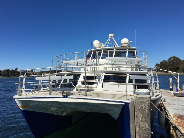 Cruise new years on MV Explorer large foredeck