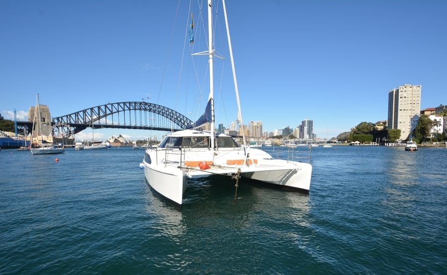 Delphinus new years cruise bridge background Delphinus new years cruise bridge background