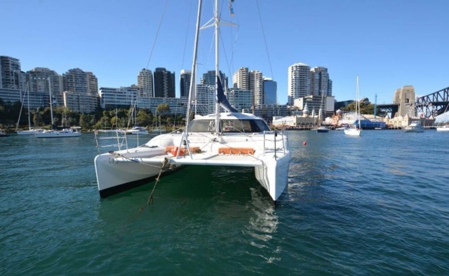 Delphinus new years cruise sunny harbour Delphinus new years cruise sunny harbour