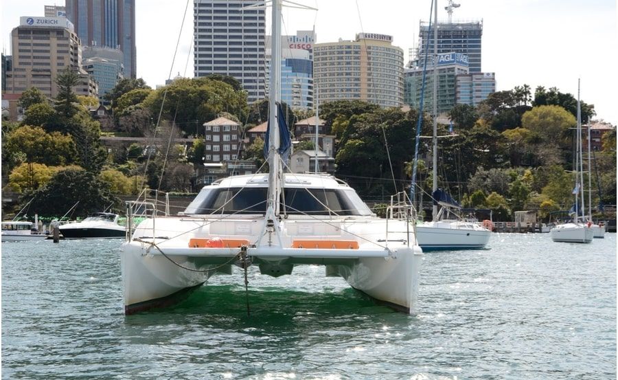 Delphinus new years cruise sunny harbour Delphinus new years cruise sunny harbour
