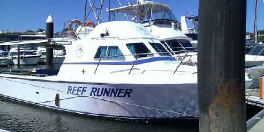https://www.anyboat.com.au/media/catalog/product/cache/3d98a21d93a47449f8fd839055ce5f12/n/e/new-years-eve-cruise-on-reef-runner.jpg