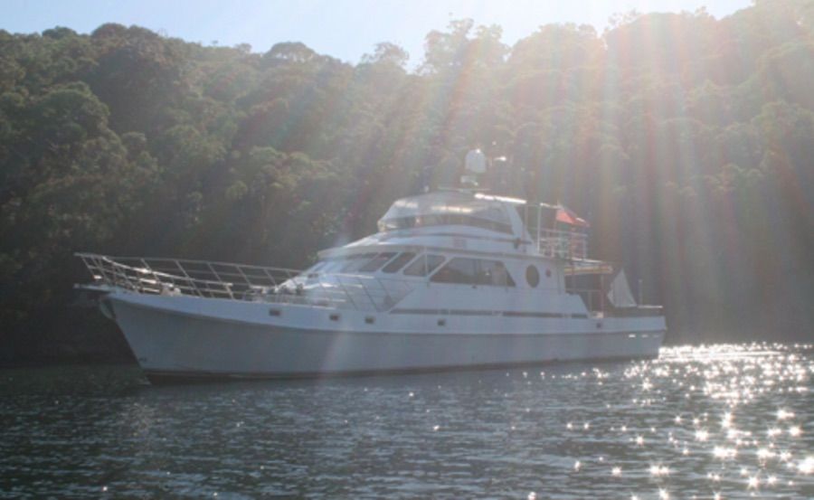 Sea escape new years cruise sunny port view