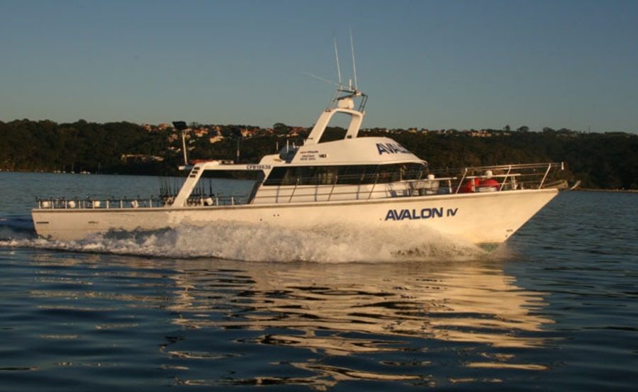 https://www.anyboat.com.au/media/catalog/product/cache/3d98a21d93a47449f8fd839055ce5f12/n/e/new-years-eve-cruises-on-avalon-main-profile.jpg