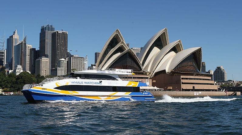 Ocean Dreaming II Whale Watching Sydney Harbour