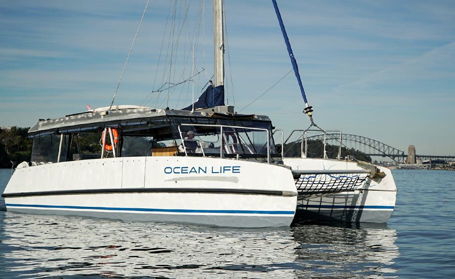 https://www.anyboat.com.au/media/catalog/product/cache/3d98a21d93a47449f8fd839055ce5f12/o/c/ocean-life-1_2.jpg