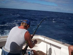 Fishing charters on Reef Magic Fishing charters on Reef Magic
