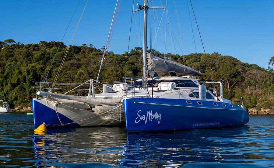 Vivid Cruises on Sea Monkey