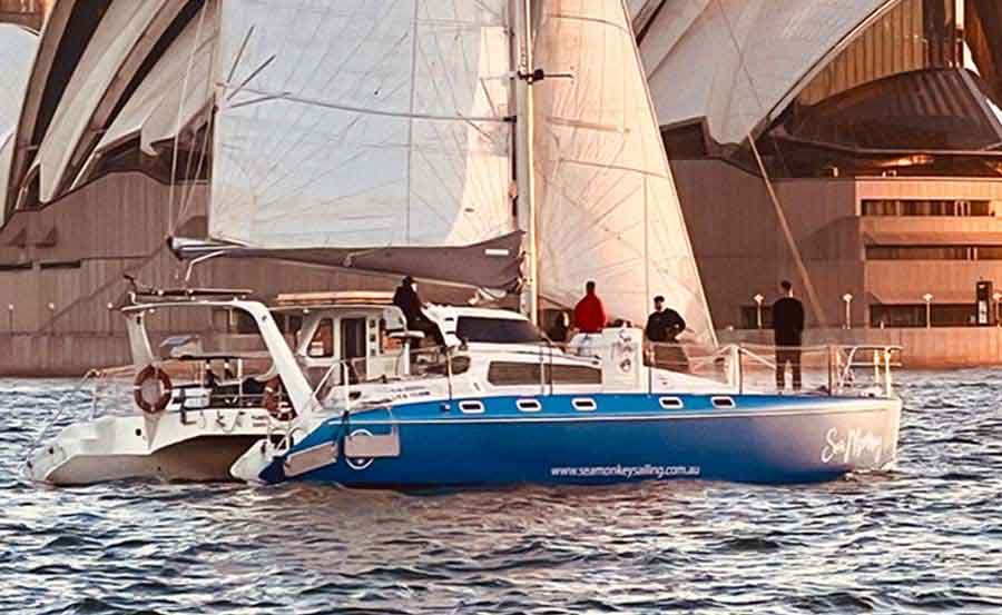 Vivid Cruises on Sea Monkey